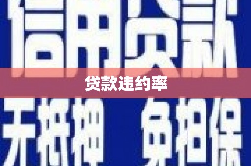 思南贷款违约率