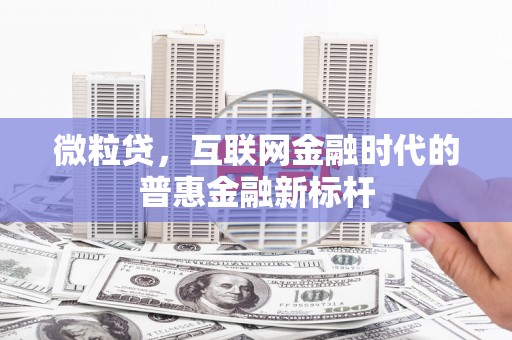 思南微粒贷，互联网金融时代的普惠金融新标杆