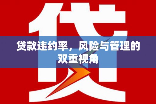 思南贷款违约率，风险与管理的双重视角