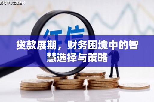 思南贷款展期，财务困境中的智慧选择与策略