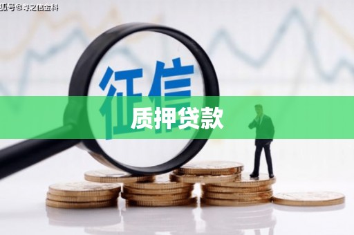 思南质押贷款