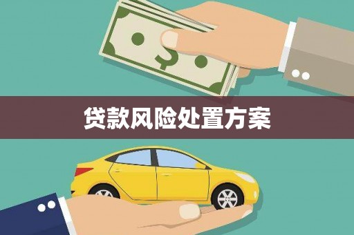 思南贷款风险处置方案