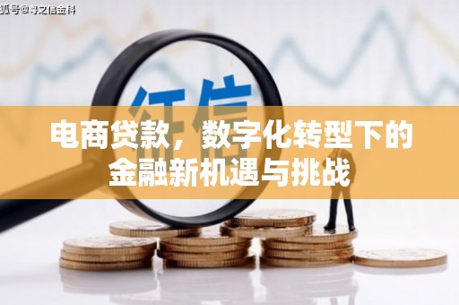 思南电商贷款，数字化转型下的金融新机遇与挑战