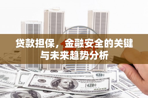 思南贷款担保，金融安全的关键与未来趋势分析