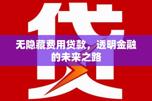 思南无隐藏费用贷款，透明金融的未来之路