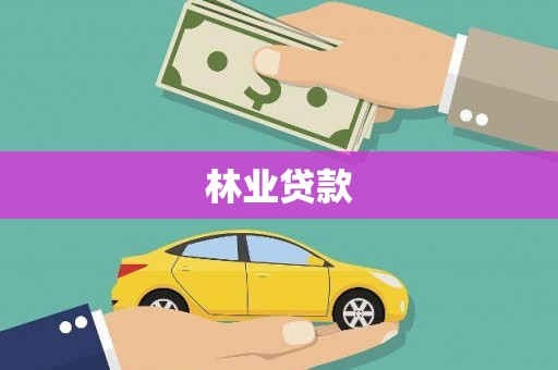 思南林业贷款