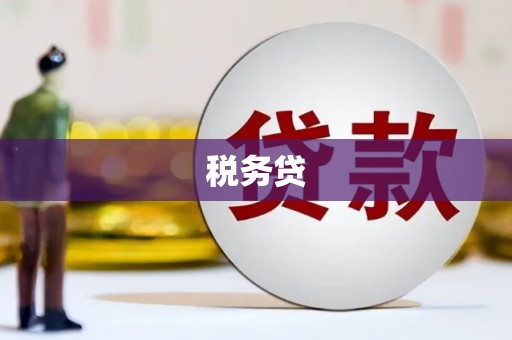 思南税务贷