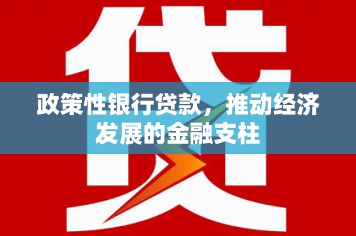 思南政策性银行贷款，推动经济发展的金融支柱