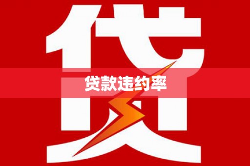 思南贷款违约率