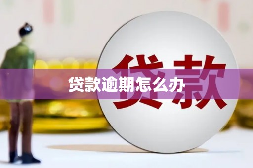 思南贷款逾期怎么办