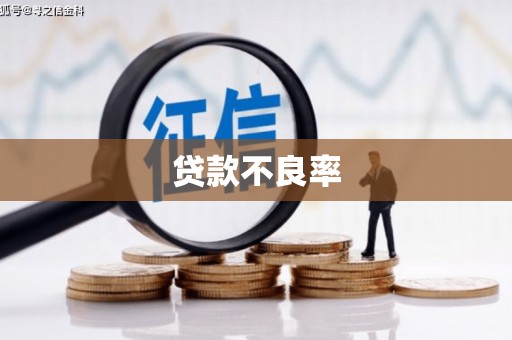 思南贷款不良率