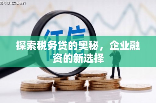 思南探索税务贷的奥秘，企业融资的新选择