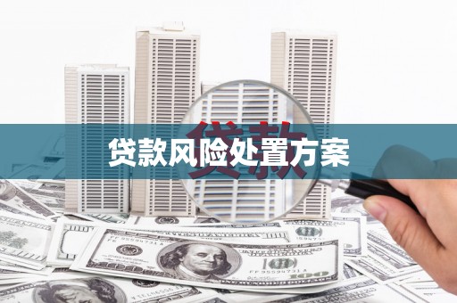 思南贷款风险处置方案