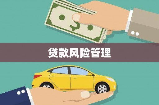 思南贷款风险管理