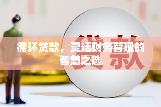 思南循环贷款，灵活财务管理的智慧之选