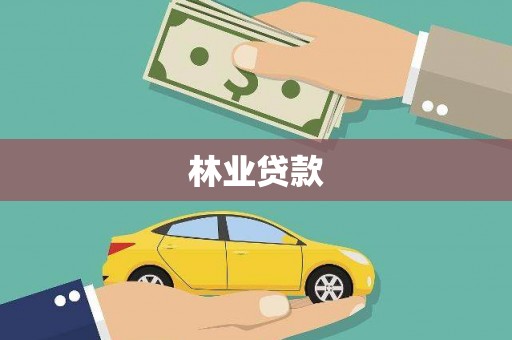 思南林业贷款