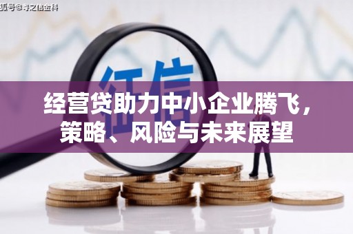 思南经营贷助力中小企业腾飞，策略、风险与未来展望