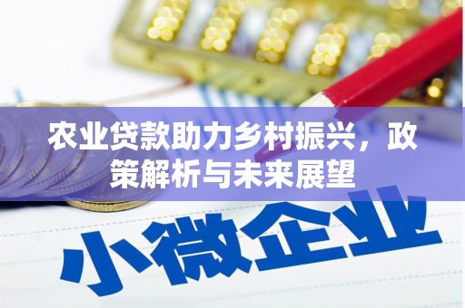 思南农业贷款助力乡村振兴，政策解析与未来展望