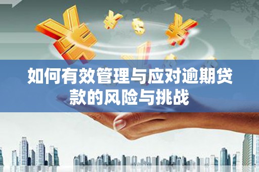 思南如何有效管理与应对逾期贷款的风险与挑战