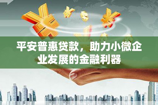 思南平安普惠贷款，助力小微企业发展的金融利器
