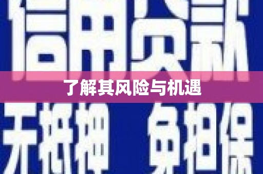 思南了解其风险与机遇