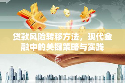 思南贷款风险转移方法，现代金融中的关键策略与实践