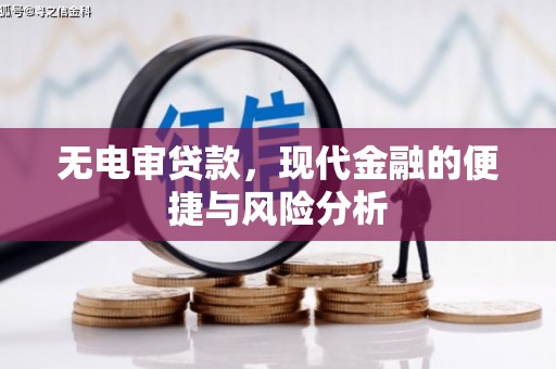 思南无电审贷款，现代金融的便捷与风险分析