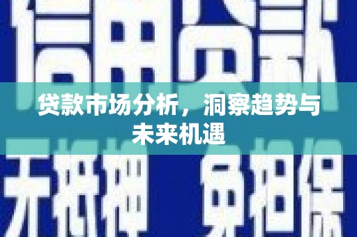 思南贷款市场分析，洞察趋势与未来机遇