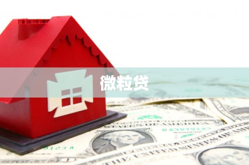 思南微粒贷