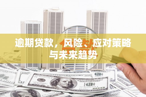 思南逾期贷款，风险、应对策略与未来趋势