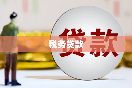 思南税务贷款