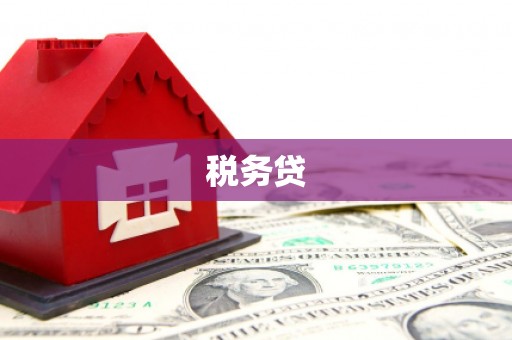 思南税务贷