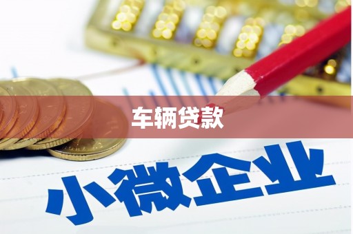 思南车辆贷款