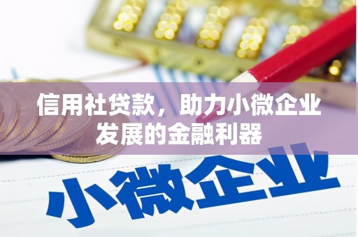 思南信用社贷款，助力小微企业发展的金融利器