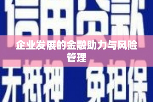 思南企业发展的金融助力与风险管理