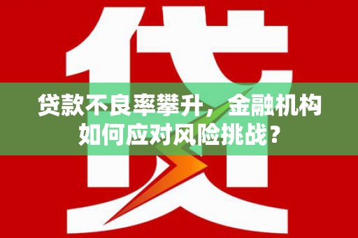 思南贷款不良率攀升，金融机构如何应对风险挑战？