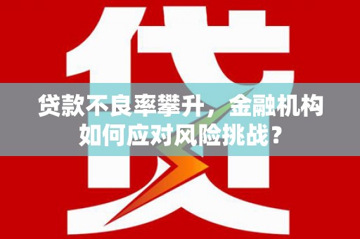 思南贷款不良率攀升，金融机构如何应对风险挑战？