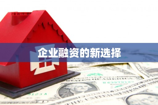 思南企业融资的新选择