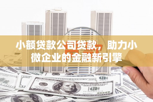 思南小额贷款公司贷款，助力小微企业的金融新引擎