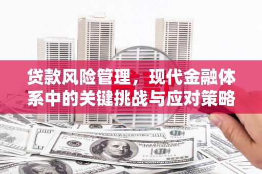思南贷款风险管理，现代金融体系中的关键挑战与应对策略