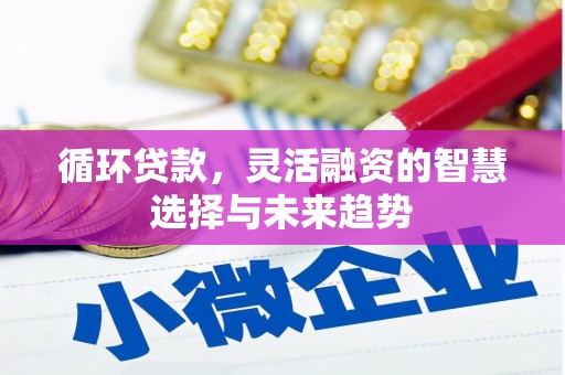 思南循环贷款，灵活融资的智慧选择与未来趋势