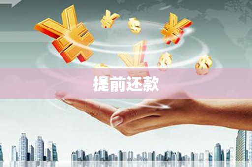 思南提前还款