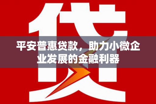 思南平安普惠贷款，助力小微企业发展的金融利器