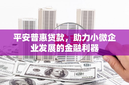 思南平安普惠贷款，助力小微企业发展的金融利器