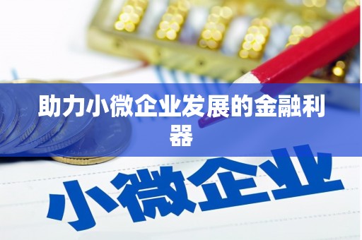思南助力小微企业发展的金融利器