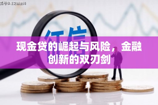 思南现金贷的崛起与风险，金融创新的双刃剑