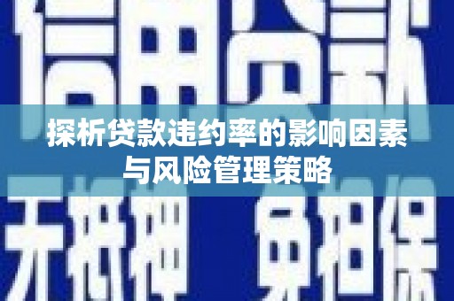 思南探析贷款违约率的影响因素与风险管理策略