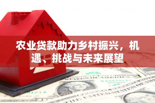 思南农业贷款助力乡村振兴，机遇、挑战与未来展望
