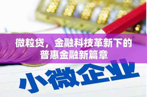 思南微粒贷，金融科技革新下的普惠金融新篇章