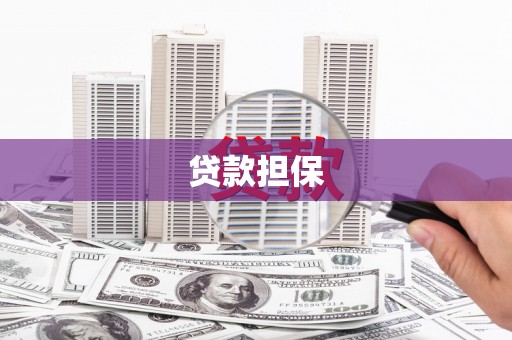 思南贷款担保